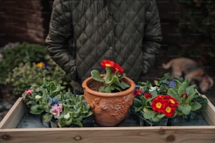 a man standing next to a wooden box filled with potted plants