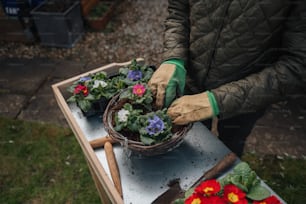 a person wearing gloves and gardening gloves holding a basket of flowers
