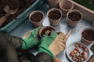 a person holding a glove over some plants