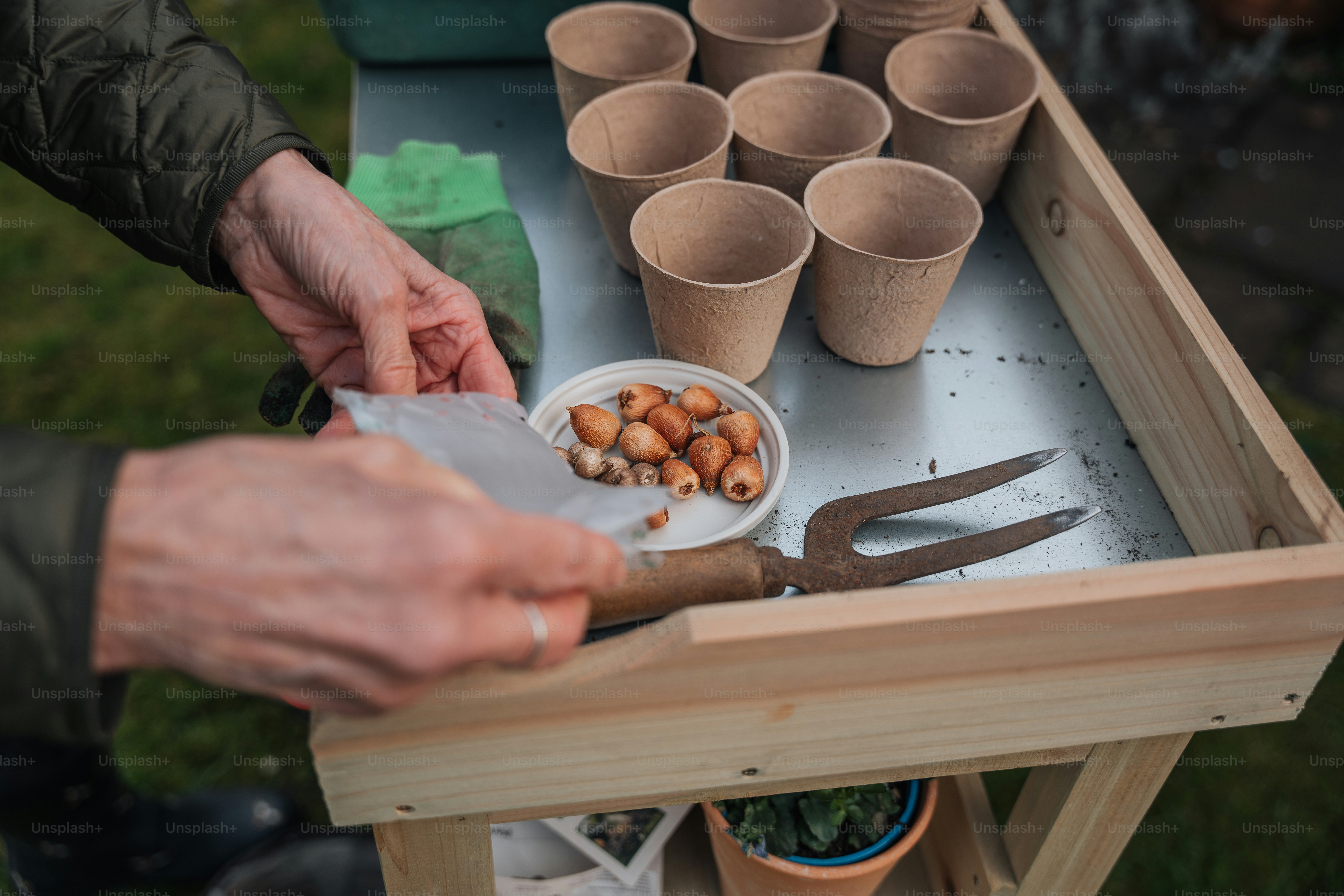 a person holding a knife and a plate of food