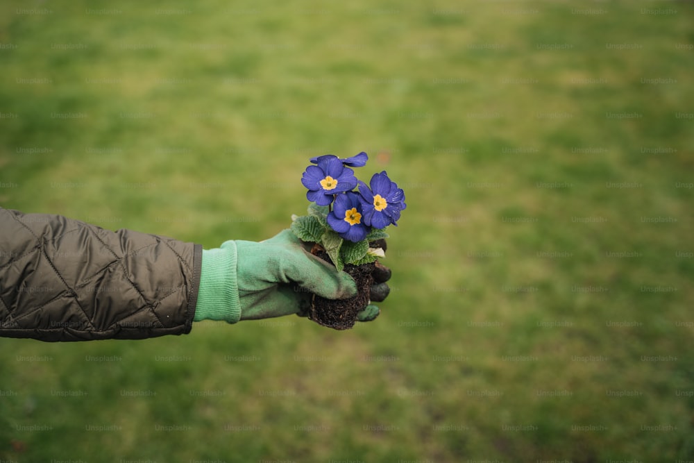 una persona sosteniendo un ramo de flores en la mano