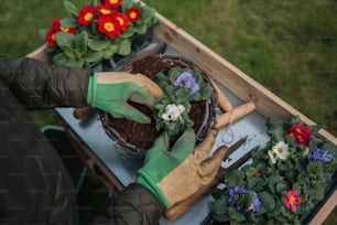 eine Person mit Gartenhandschuhen und Gartenhandschuhen