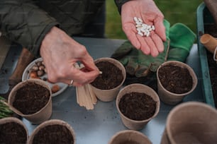 Una persona sosteniendo un puñado de semillas en sus manos