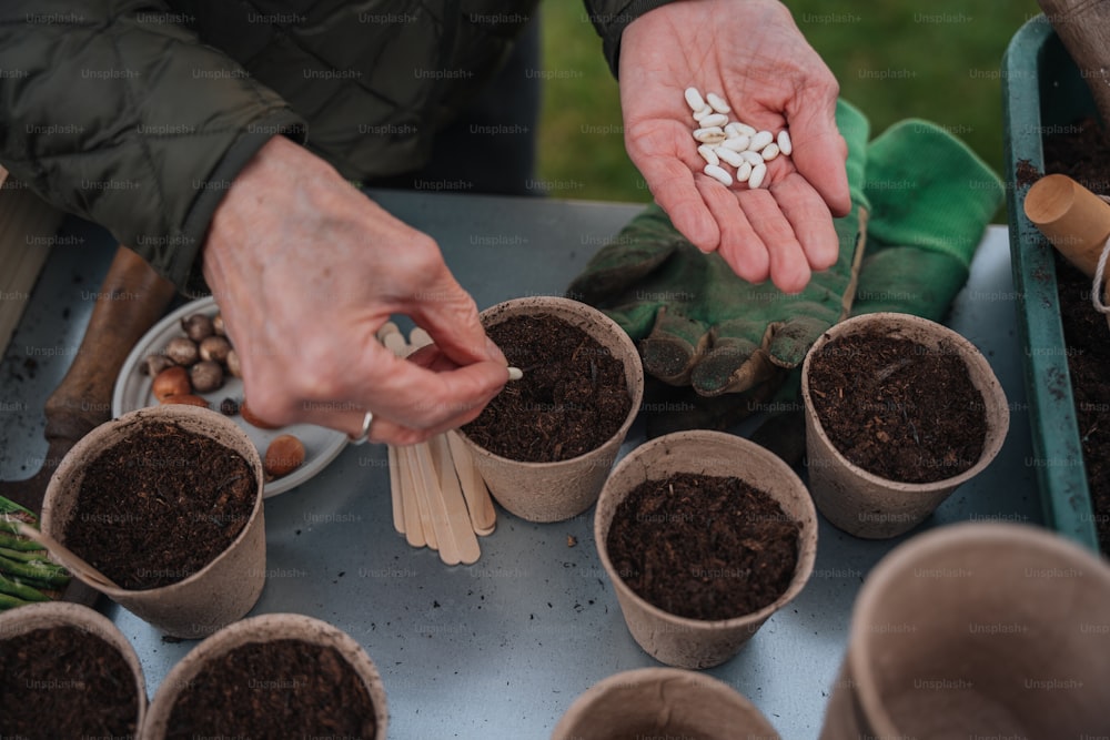 a person holding a handful of seeds in their hands