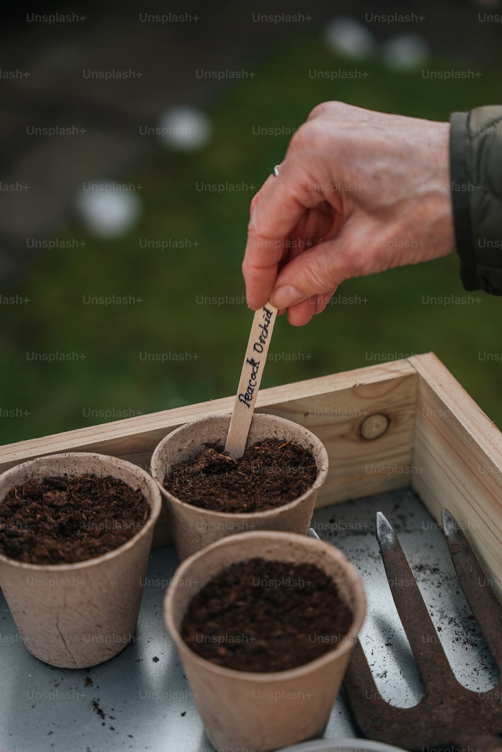 a person holding a wooden spoon over a tray of dirt