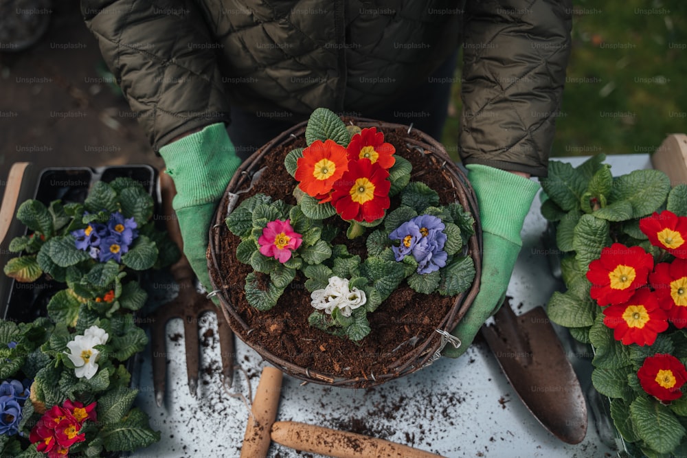 a person holding a basket of flowers on a table