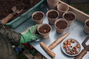 a tray filled with pots and plants next to gardening tools