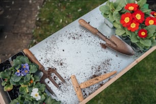 un tavolo sormontato da piante in vaso e utensili da giardinaggio