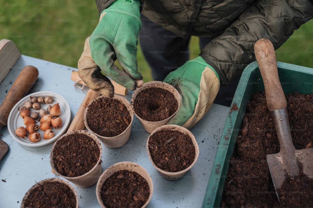 une personne portant des gants et des gants plante des plantes