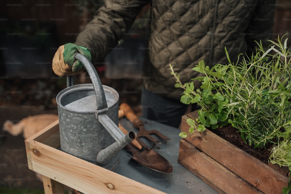 a person holding a watering can and gardening tools