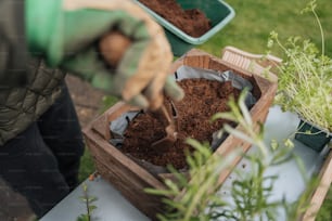 a person scooping dirt into a wooden box