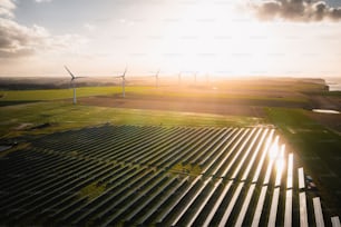 a large field with a bunch of windmills in the background