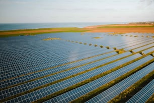rows of solar panels in a field near the ocean