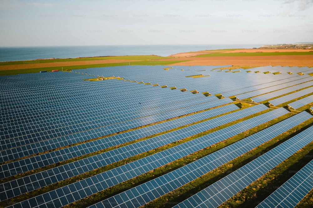 rows of solar panels in a field near the ocean