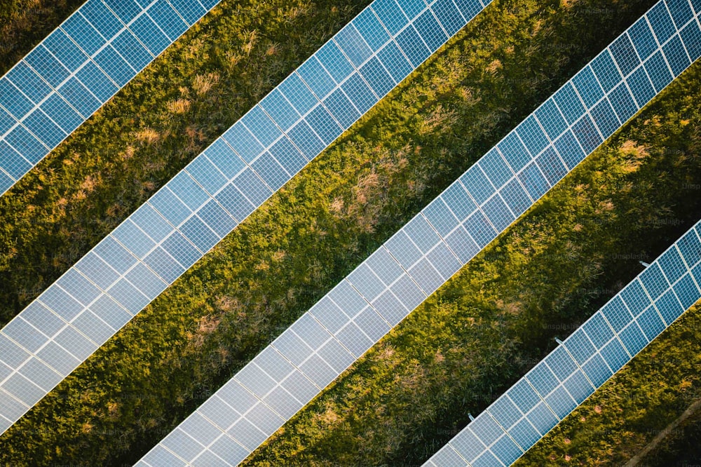 Luftaufnahme von Sonnenkollektoren auf einem Feld
