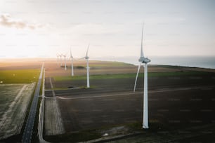 a group of wind turbines in a field