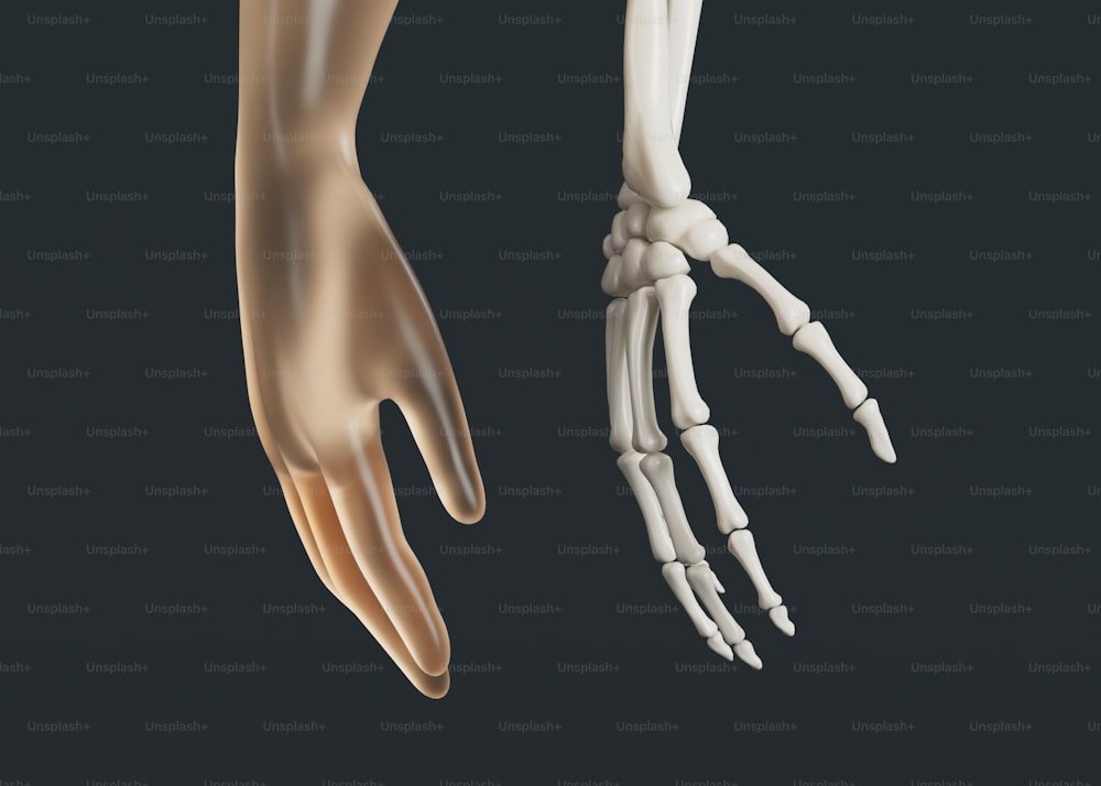 eine menschliche Hand und eine Skeletthand auf schwarzem Hintergrund