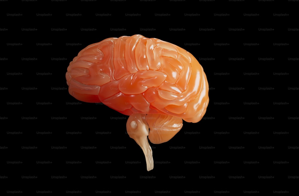 an orange plastic brain on a black background