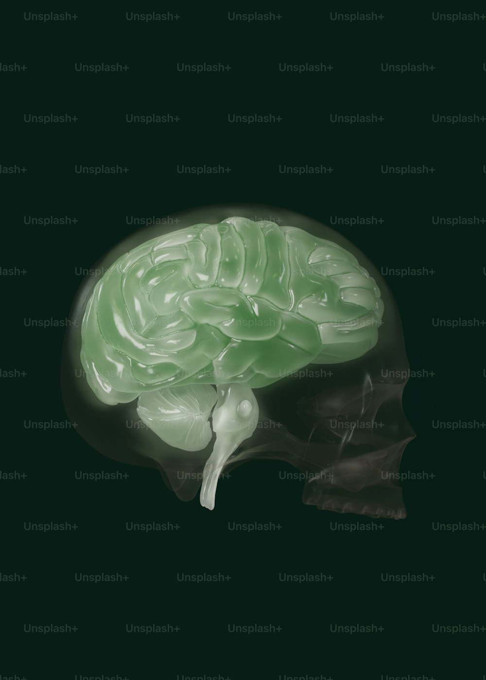 Una imagen de un cerebro humano en la oscuridad