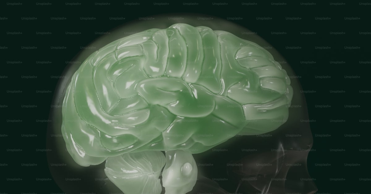 An image of a human brain in the dark photo – Wallpaper Image on Unsplash