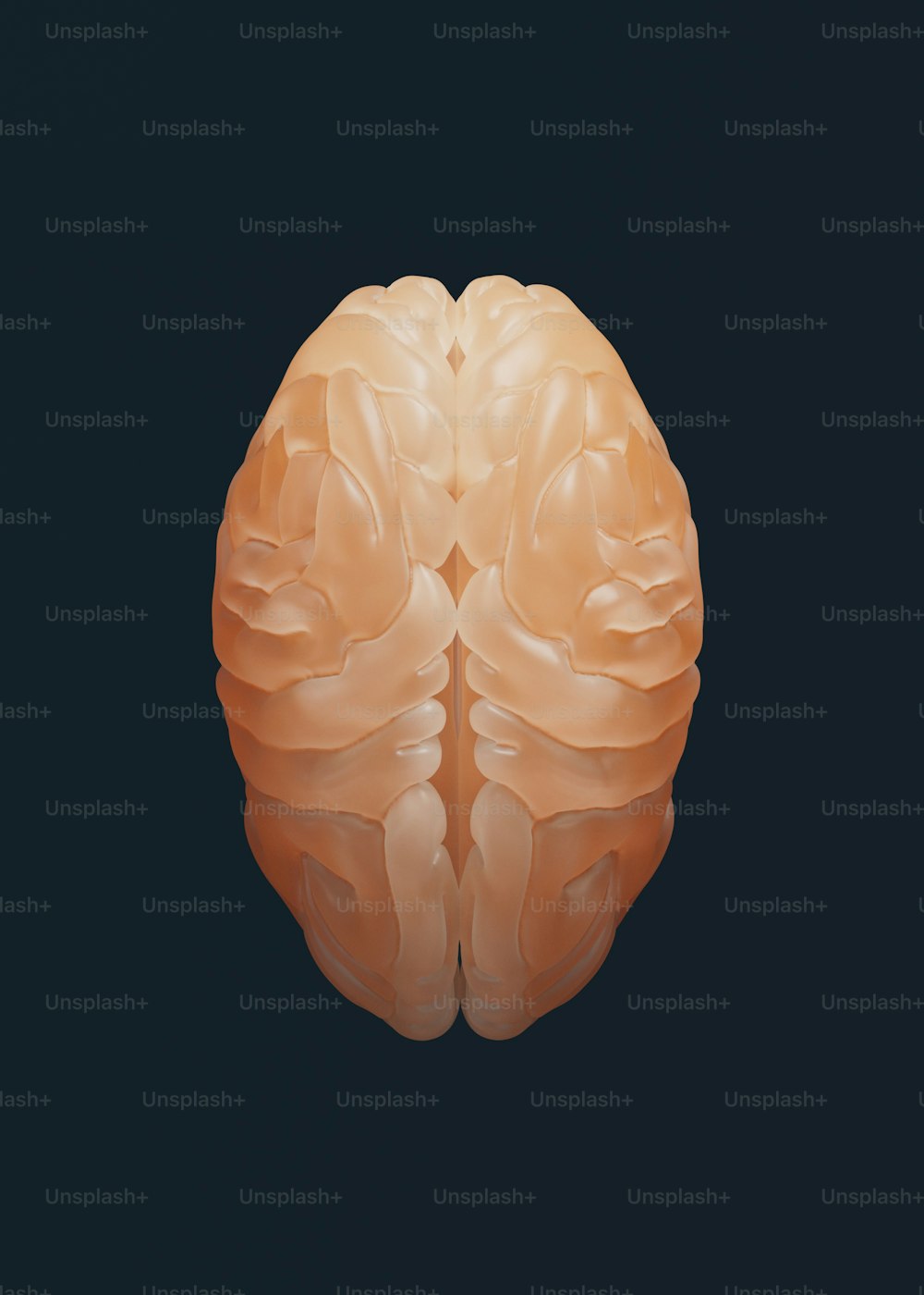 Eine Nahaufnahme eines menschlichen Gehirns auf schwarzem Hintergrund