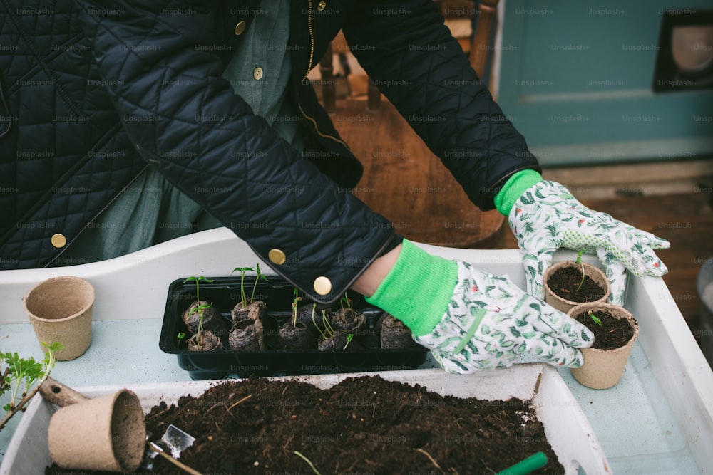 une personne avec des gants de jardinage et des gants de jardinage sur