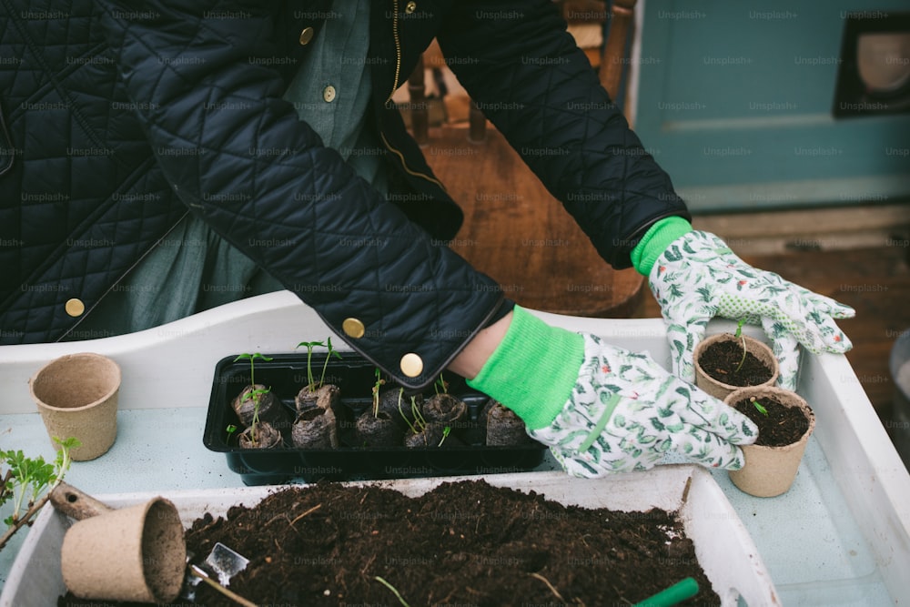 a person with gardening gloves and gardening gloves on