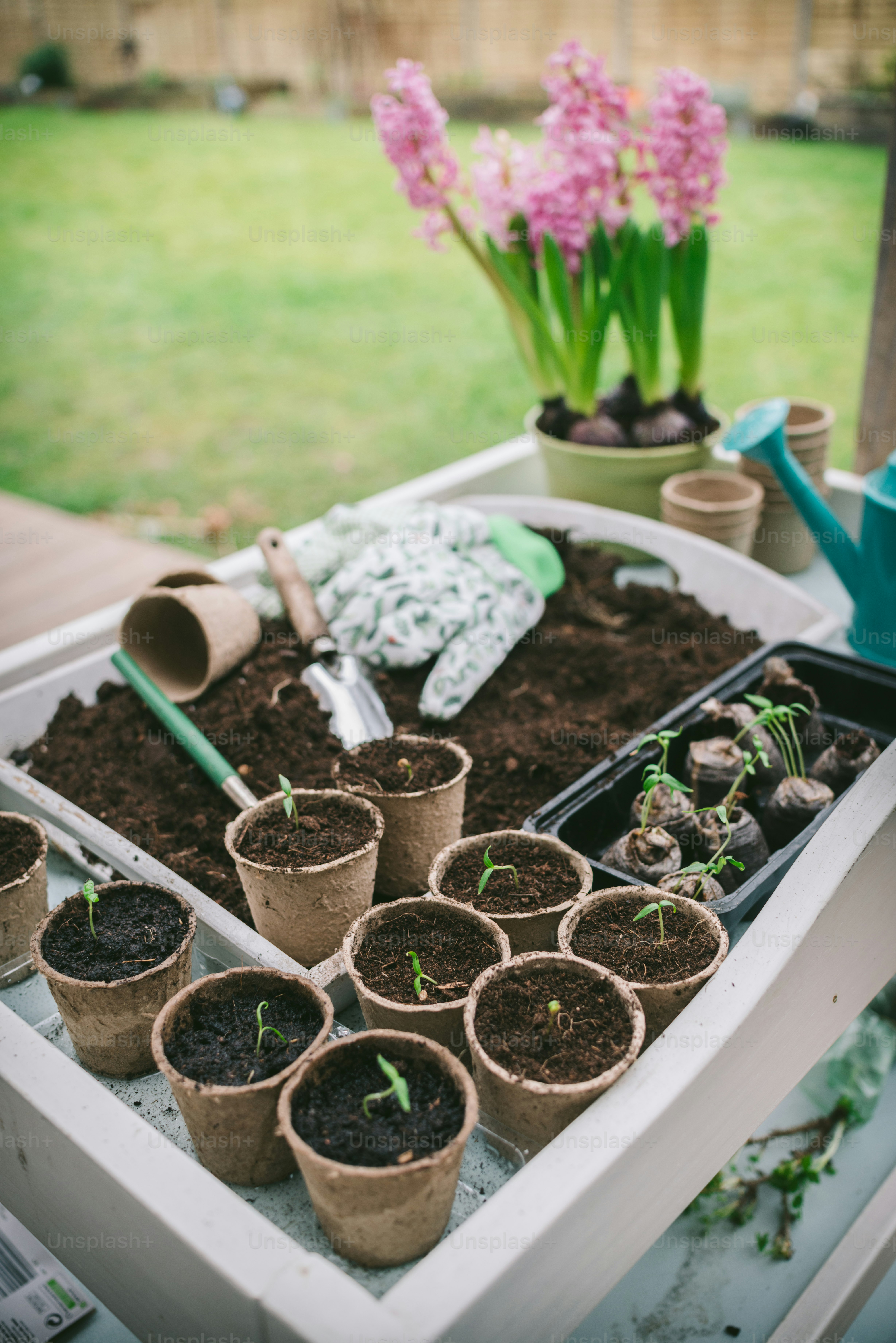 화분을 잔뜩 얹은 테이블