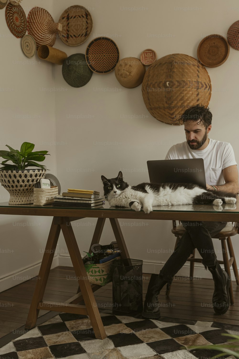 Un hombre sentado en una mesa con una computadora portátil y un gato