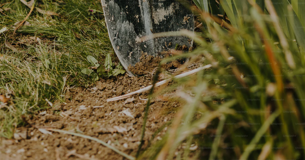 Man Using Shovel A man holding a shovel and digging in the dirt photo – Spring Image on ...