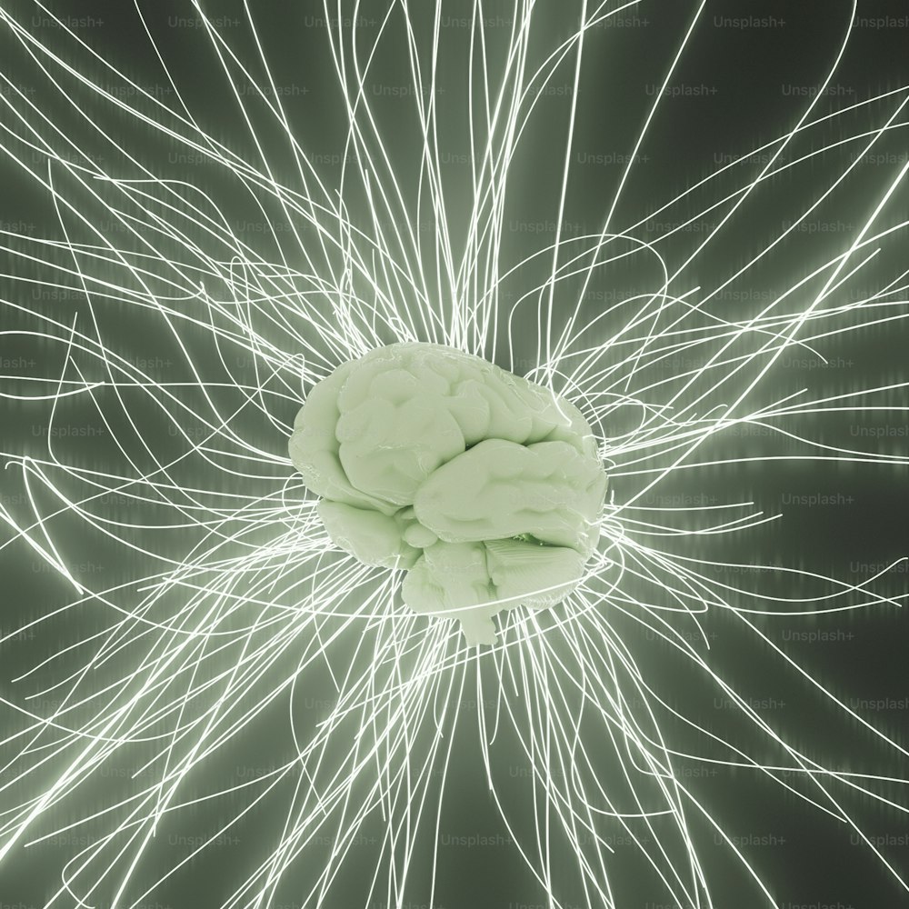un'immagine generata al computer di un cervello umano