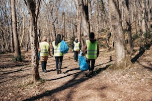 a group of people walking through a forest