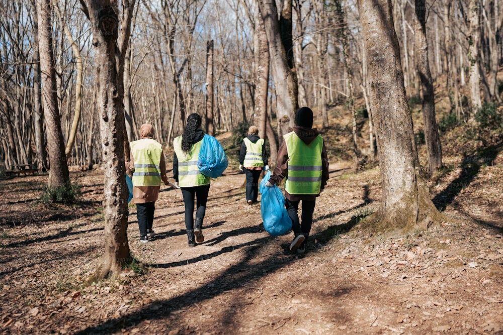 a group of people walking through a forest