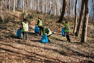 Un gruppo di persone che raccolgono la spazzatura nel bosco