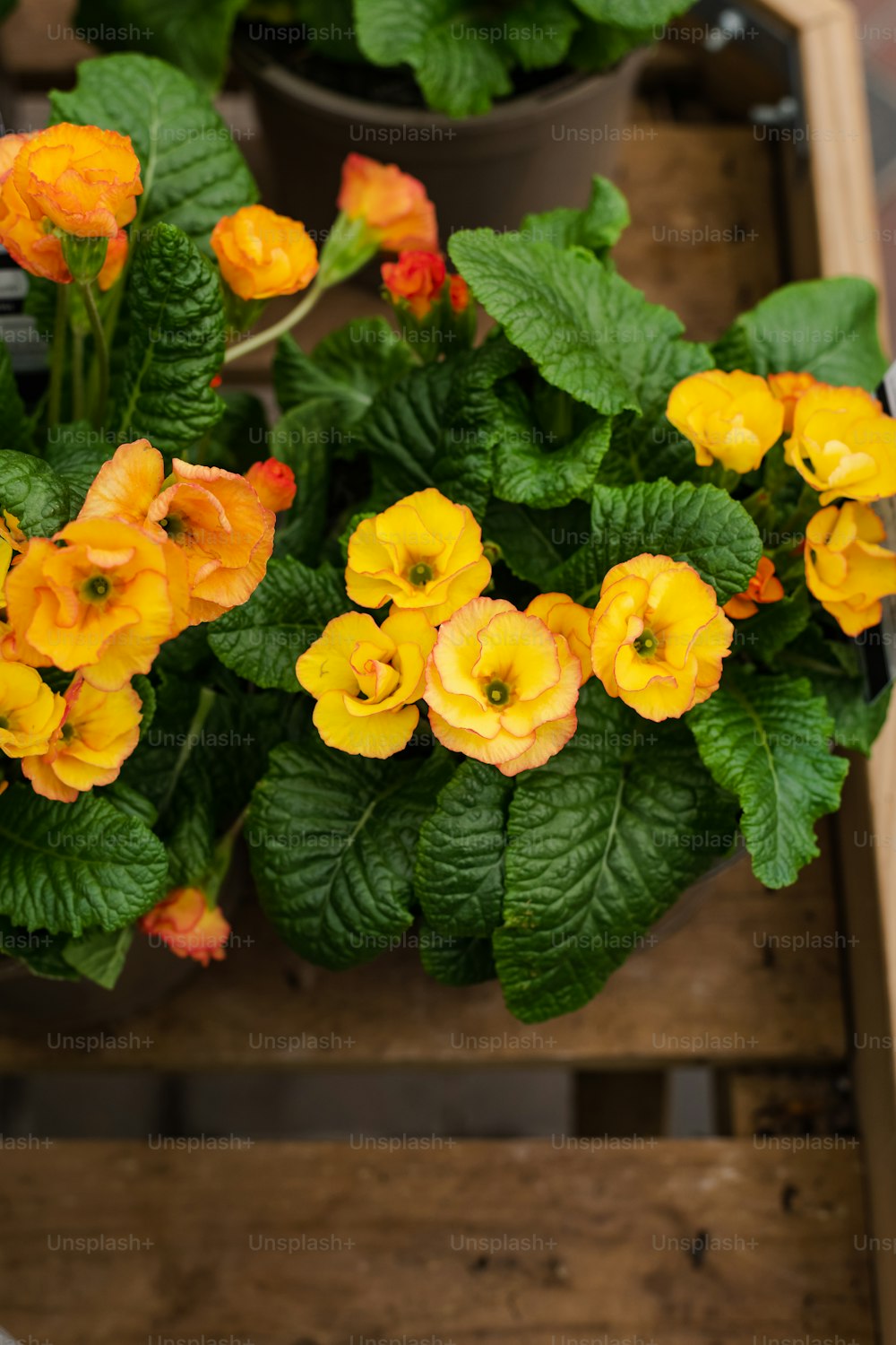 un bouquet de fleurs jaunes dans une boîte en bois