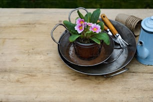 a potted plant sitting on top of a metal plate