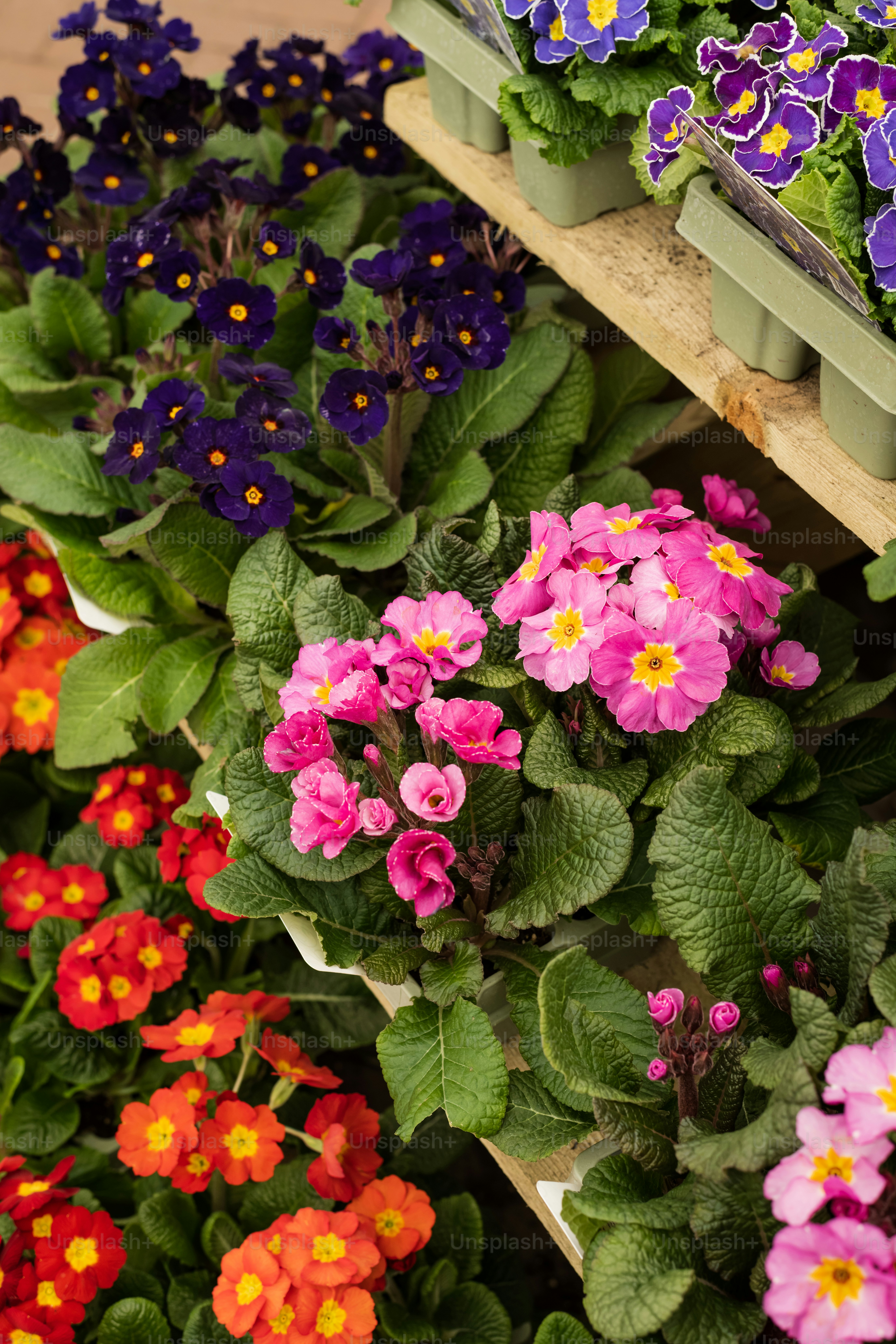 棚にある花の束