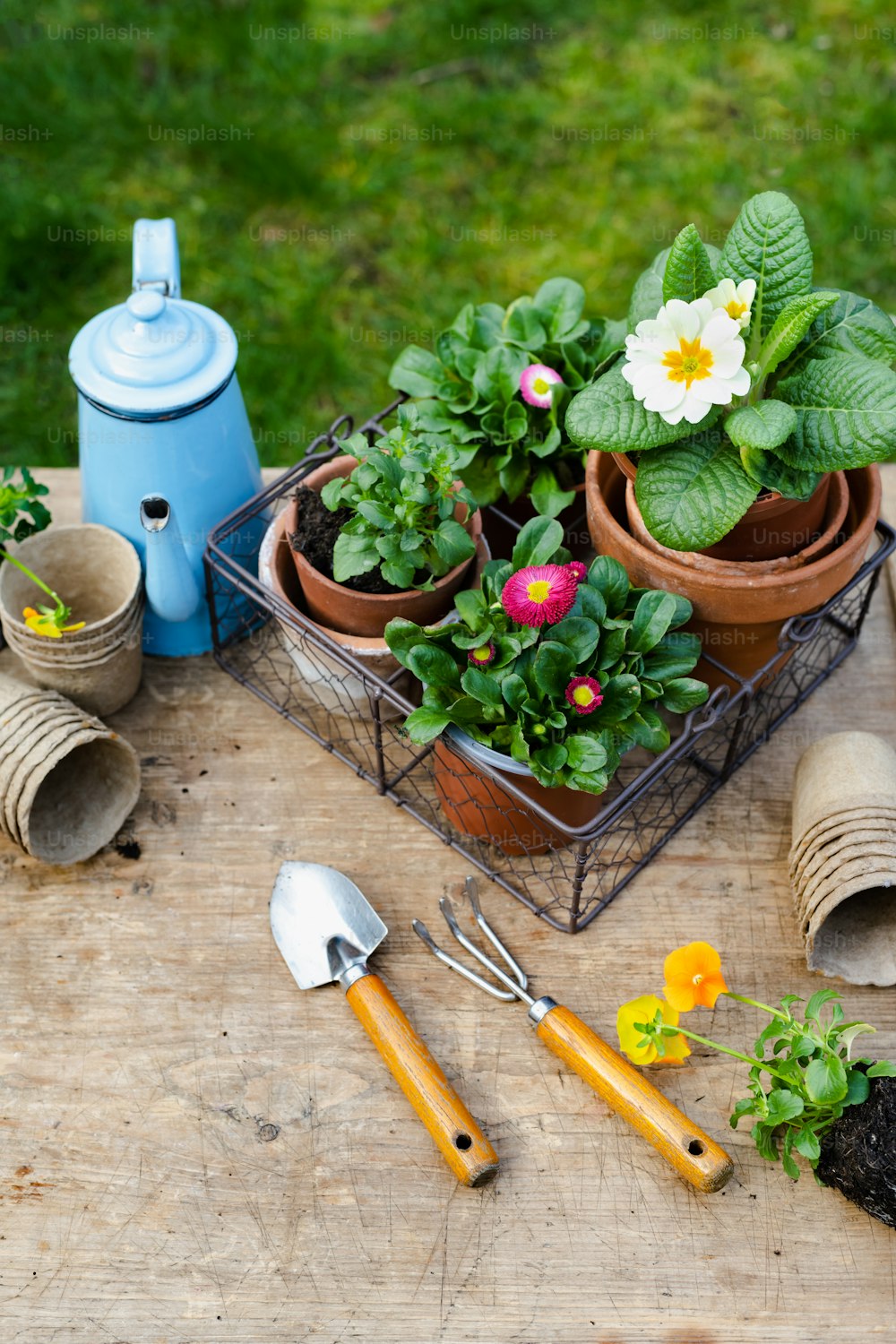 una mesa de madera cubierta con plantas en macetas y utensilios de jardinería