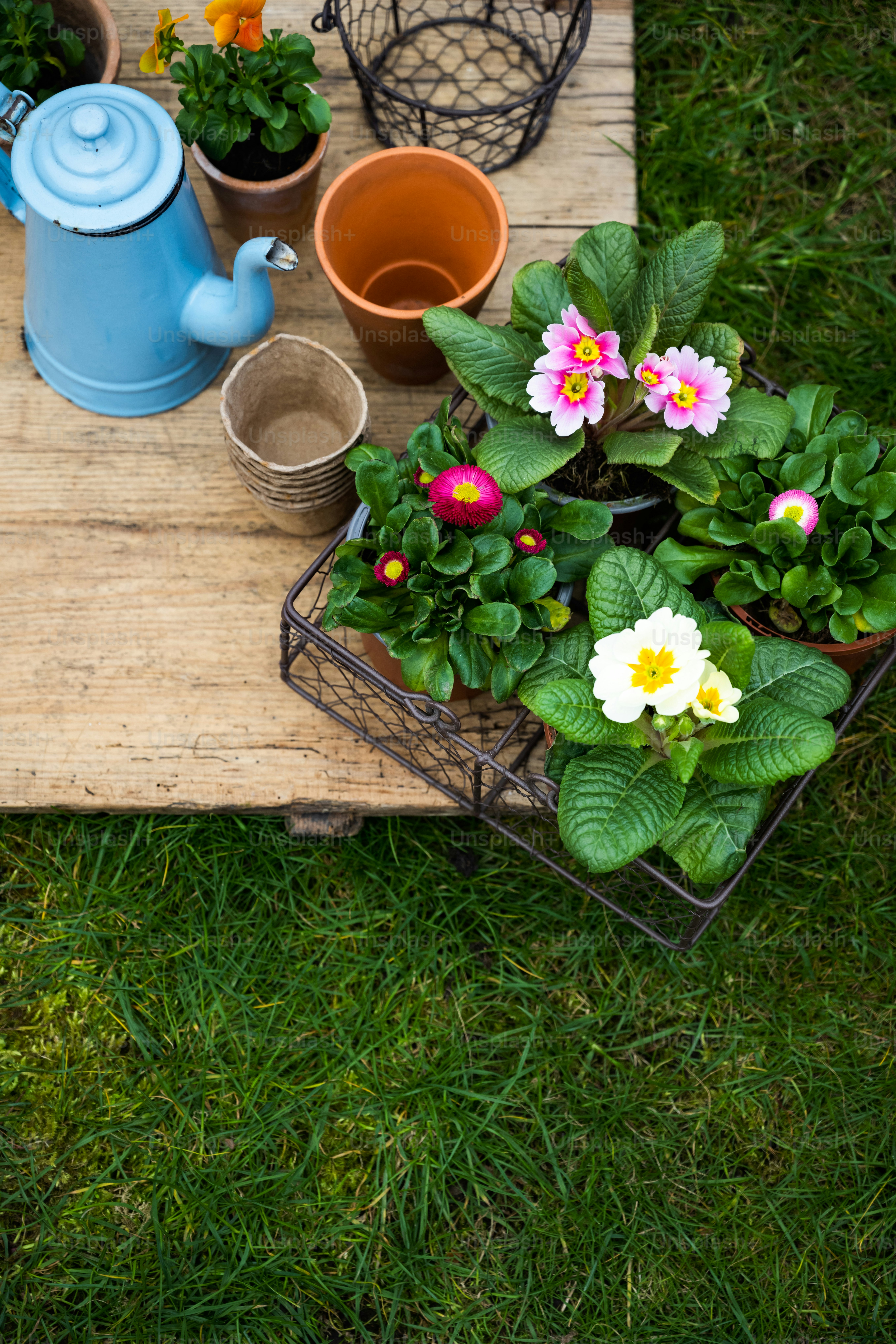 אביזרי גן ודקורציה