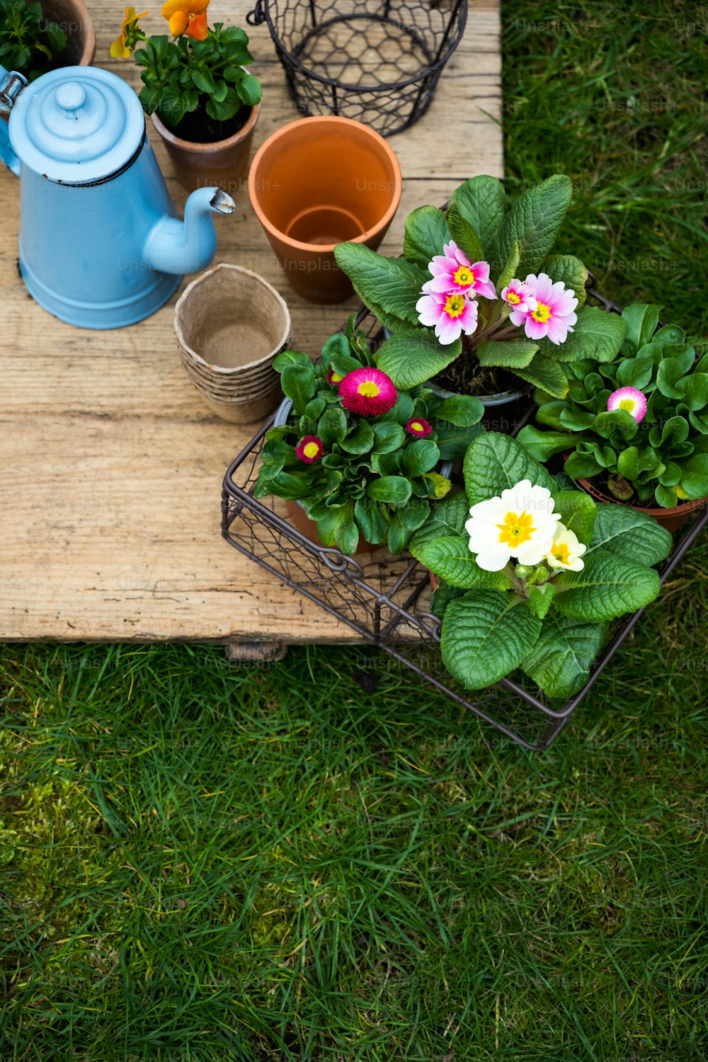 una mesa de madera cubierta con plantas en macetas junto a una regadera