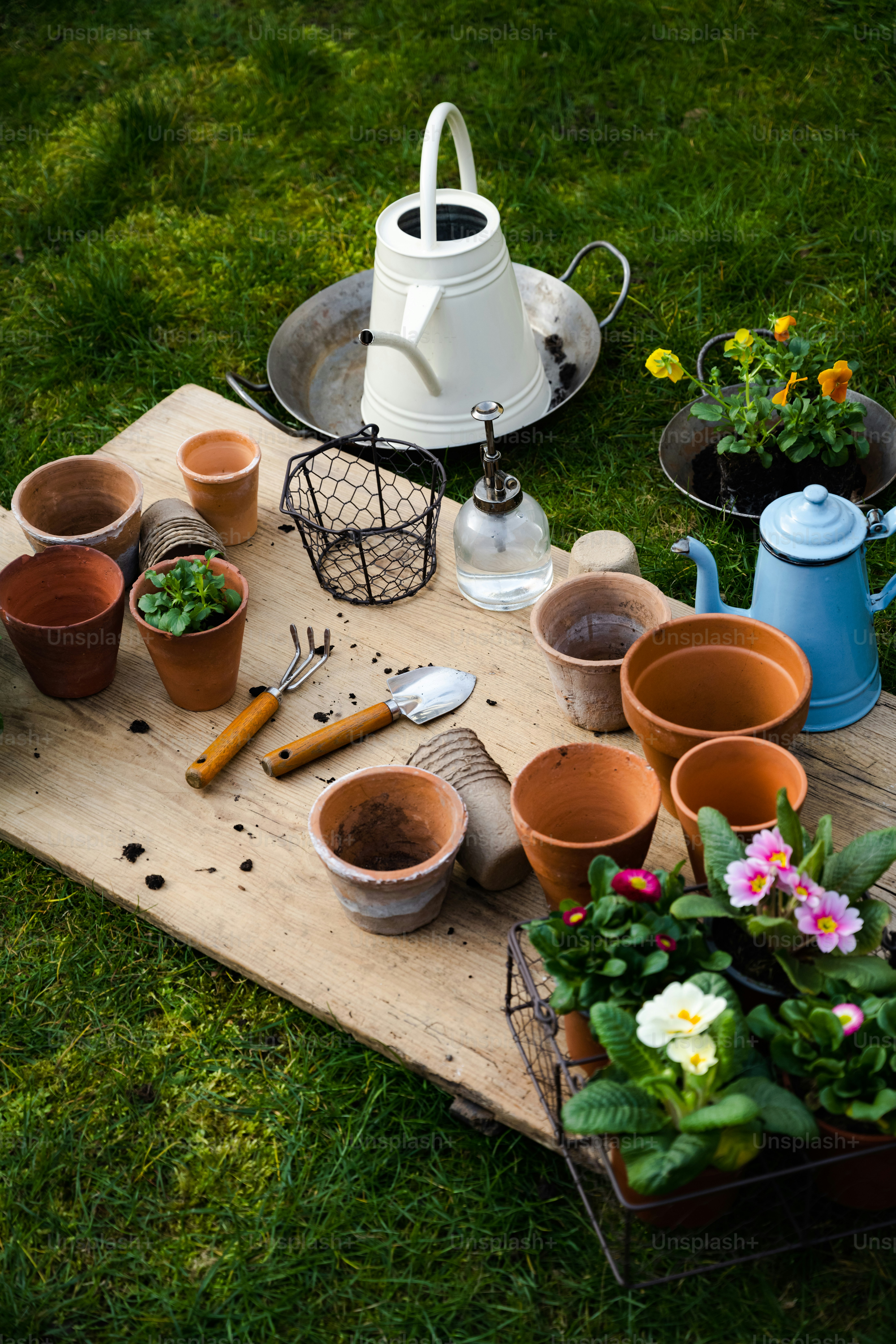 premium_photo-1678836292816-6dbd1b8608f4?ixid=M3wxMjA3fDB8MXxzZWFyY2h8NXx8aG9tZSUyMCUyNiUyMGdhcmRlbnxlbnwwfHx8fDE3NjI0NDEwODJ8MA\u0026ixlib=rb-4.1.0