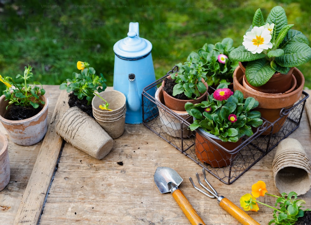 uma mesa de madeira coberta com vasos de plantas e ferramentas de jardinagem