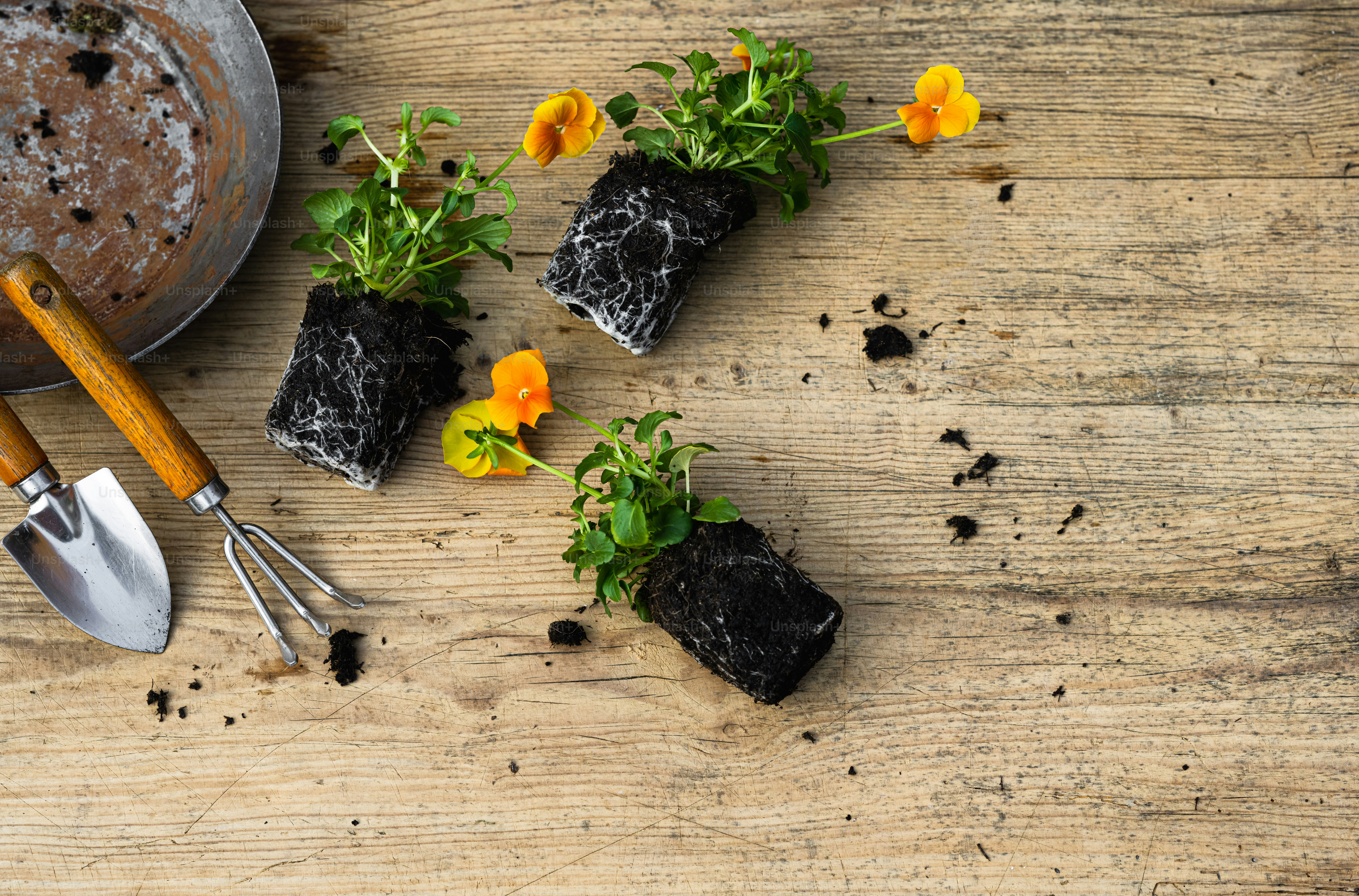 a wooden table topped with plants and gardening utensils