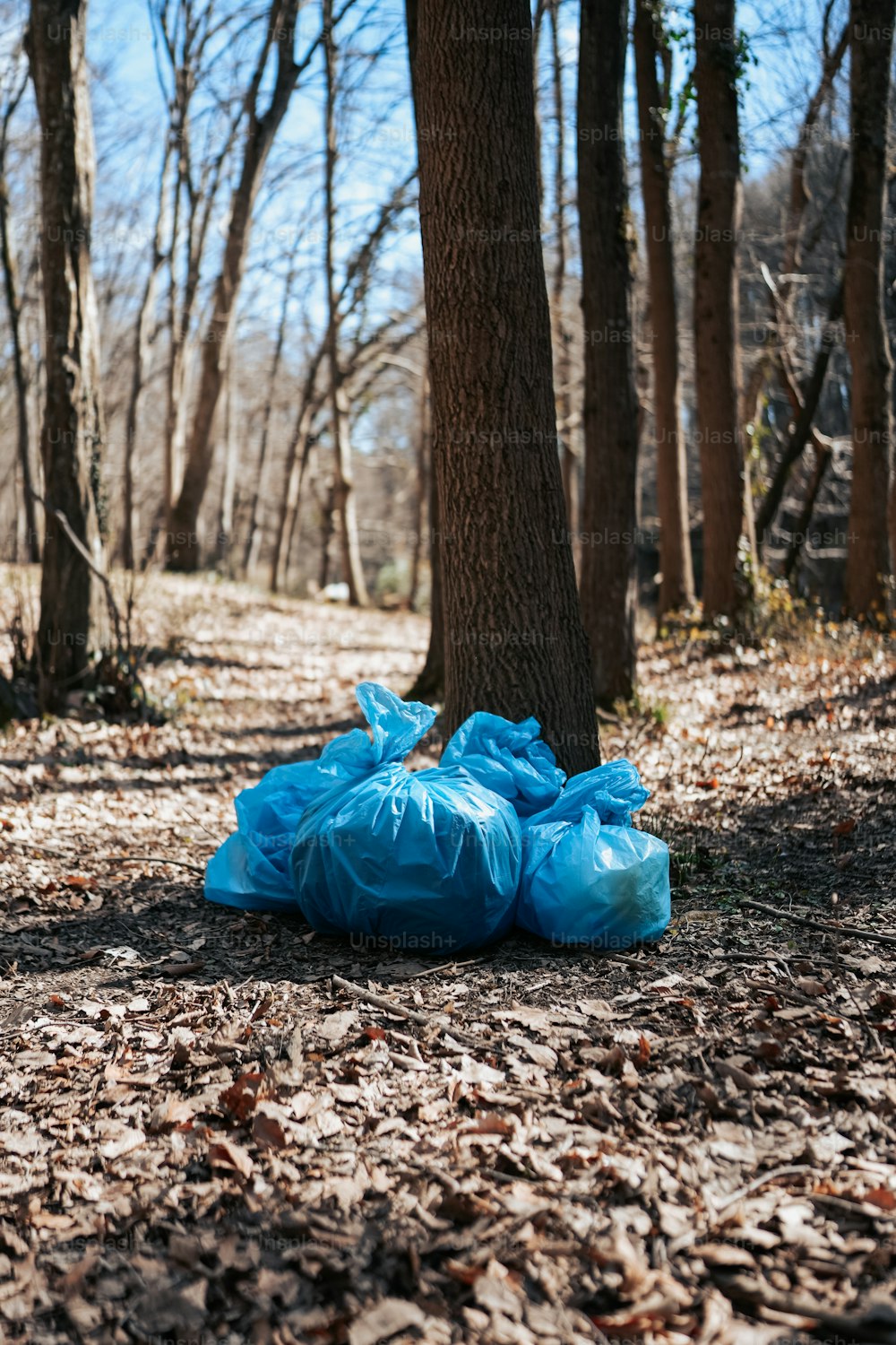 a blue bag sitting on the ground next to a tree