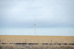 um campo com alguns moinhos de vento à distância