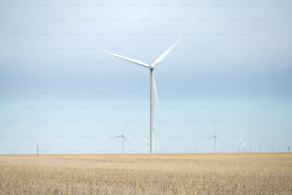 um parque eólico com vários moinhos de vento à distância