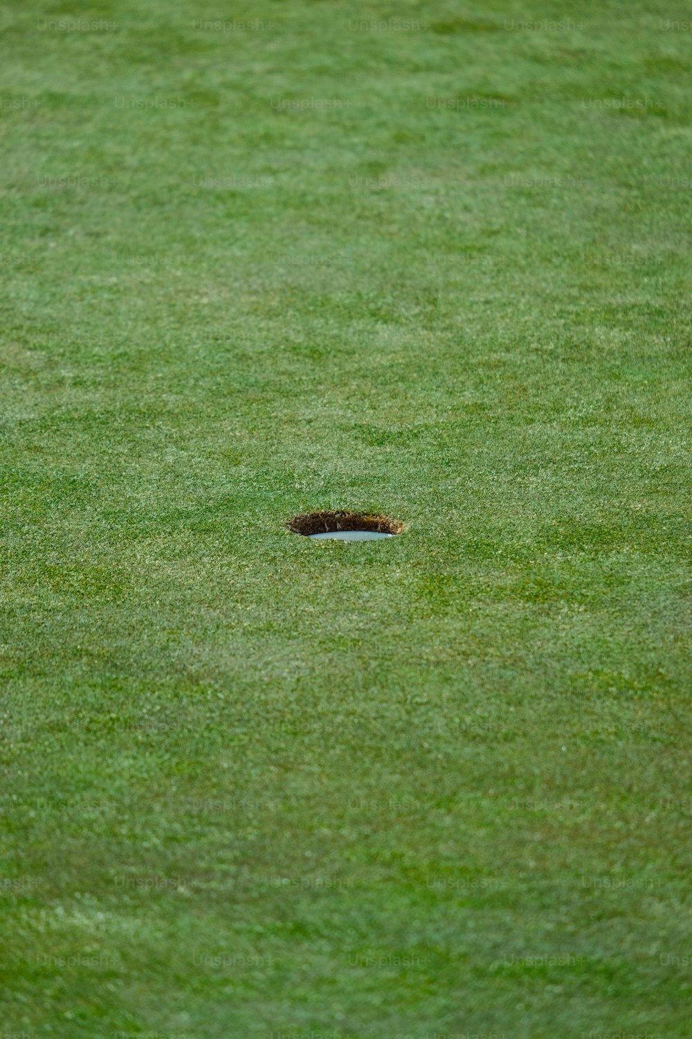 a small hole in the middle of a green field