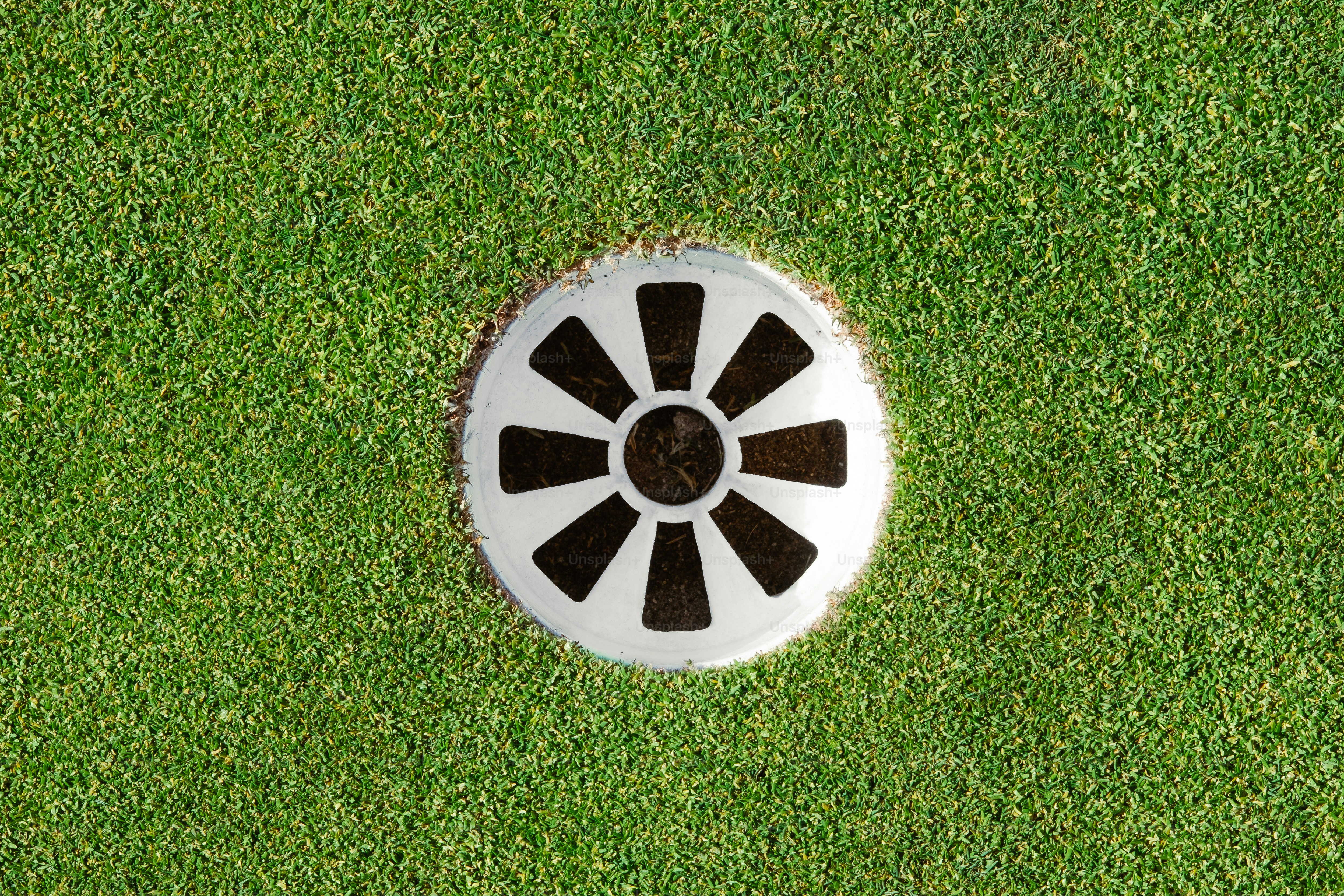 a white and black object in the grass
