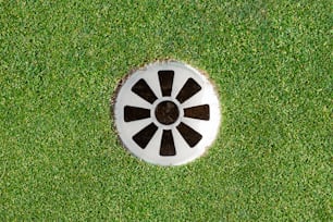 a white and black object in the grass