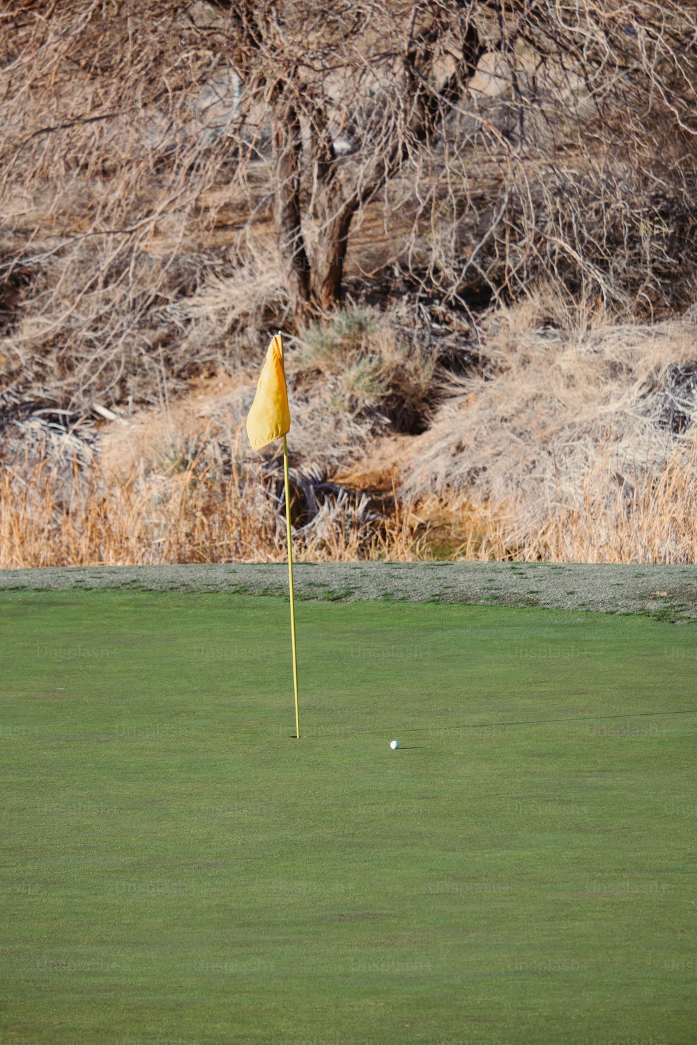 a golf green with a yellow flag sticking out of it